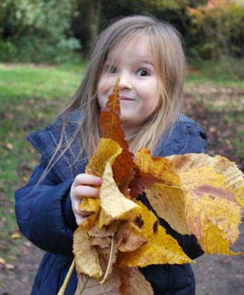Woodland walk fun