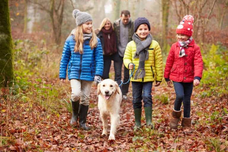 Read more about the article Day 7 A Winter Woodland Walk