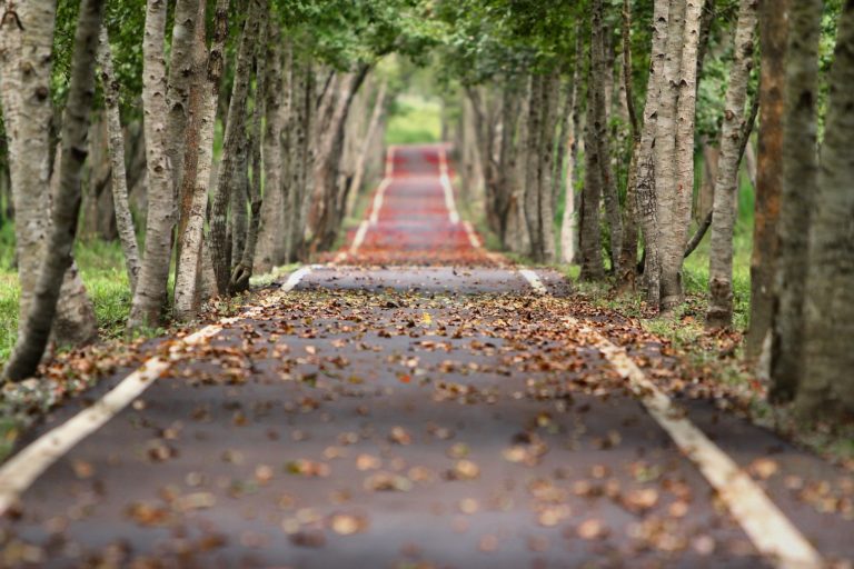Read more about the article Outdoor Autumnal Activities For Kids