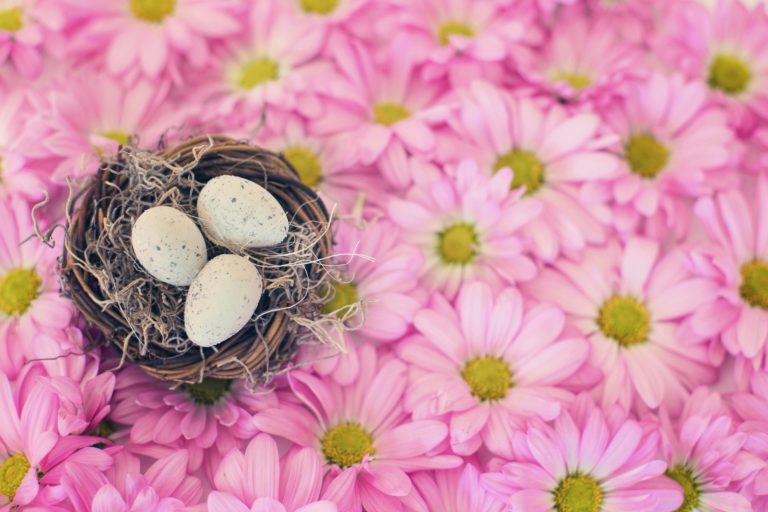 Read more about the article Easter Break Fun For Kids In Oxford