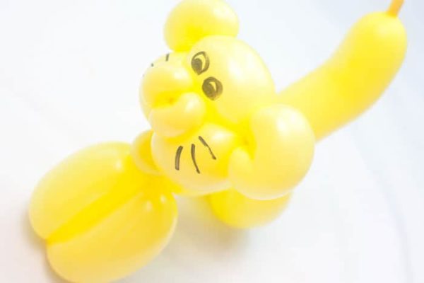 balloon-modeling.jpg